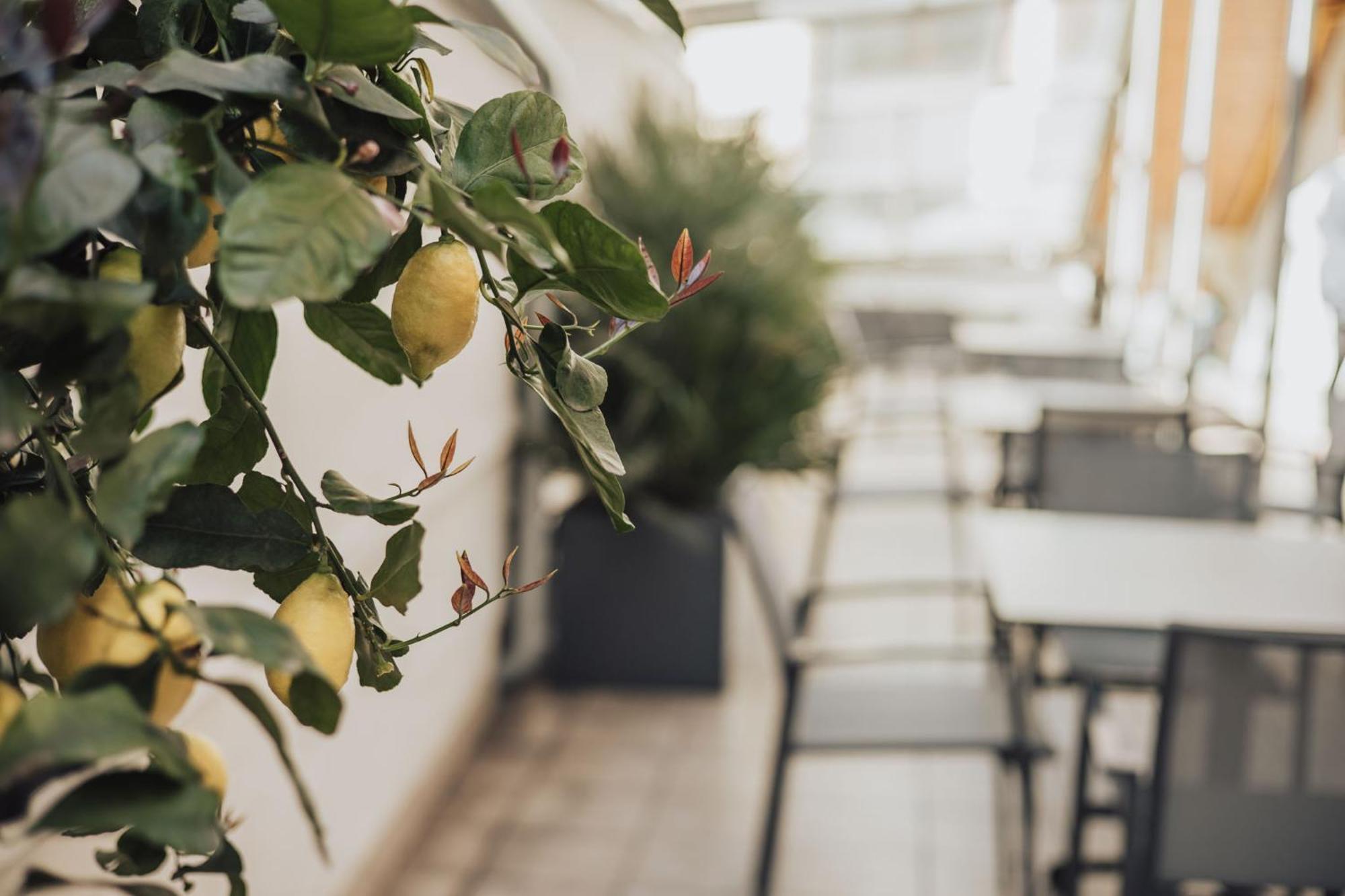 Feichter Hotel & Bistro Болзано Екстериор снимка